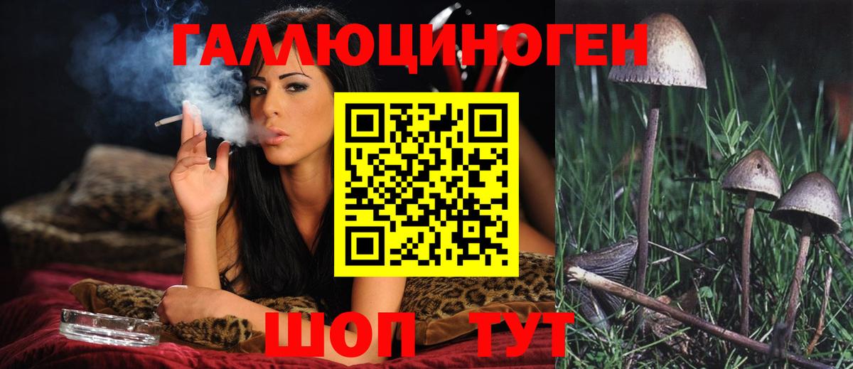 Галлюциногенные грибы мицелий Заводоуковск