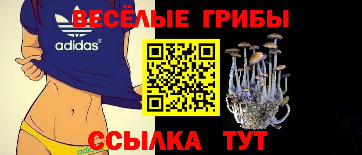 Псилоцибиновые грибы Psilocybine cubensis  Вход с VPN  Псилоцибиновые грибы Magic Shrooms  Заводоуковск 